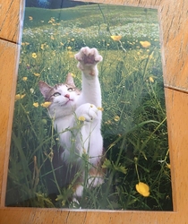 とても楽しみに...