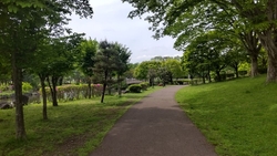 最近は天気もい...