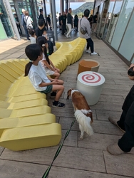 犬連れでお昼ご...