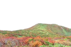 紅葉を見に三本...