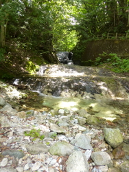 水生植物園入り...