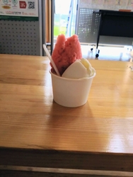 道の駅ばとうと...