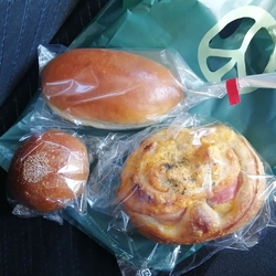 出かけ先の近く...