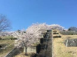 毎月お墓参りに...