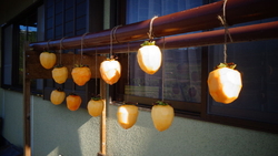 秋の風物、干し...