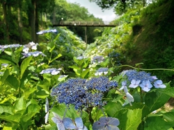 黒羽城址公園に...