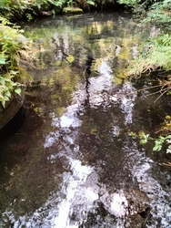 湧き水がおやま...