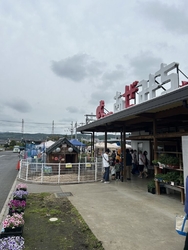 野菜を見に伺っ...