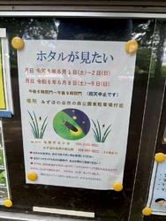 私のホームグラ...