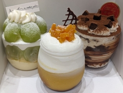 オシャレで綺麗...