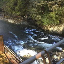 箒川が部屋やロ...