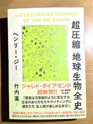 前日にTSUT...