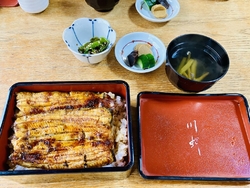 2週間以上前か...