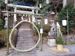 今年も行ってき...