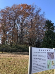 前方後円墳の琴...