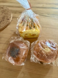 久しぶりにポン...