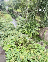除草剪定作業が...