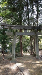 二度目の見学で...