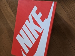 ナイキのスニー...