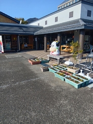 アグリパル塩原...