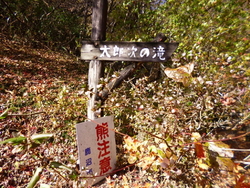 紅葉の時期に来...