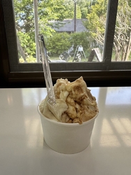 34種類もある...
