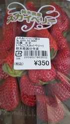 今日は、...