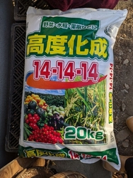 春蒔きのジャガ...