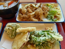 卵焼きに焼き魚...