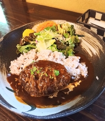 『ハンバーグラ...