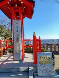 今年も初詣に伺...