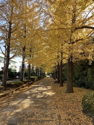 公園の北東部、...