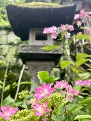 この日は、夏至...
