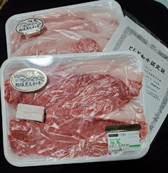 春先から９月末...