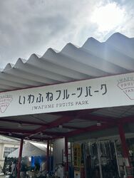 新鮮な野菜、美...