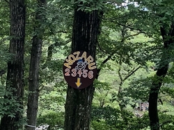 夏休みに那須ハ...