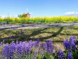 栃木県高根沢町...