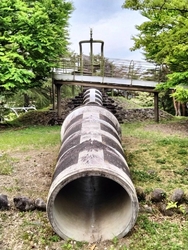 運動公園のちび...