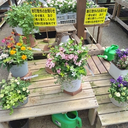 息子をライトラ...