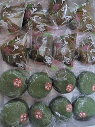 我が家の春の訪...