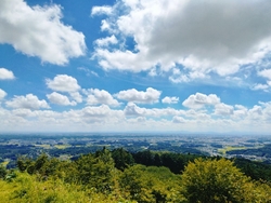 天気が良かった...