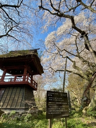 ここのお寺は遊...