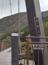 紅葉の季節にな...