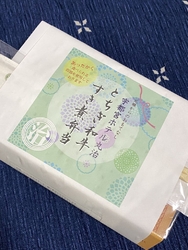 宇都宮パセオ２...