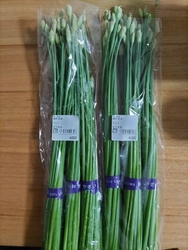 花ニラ目当てで...