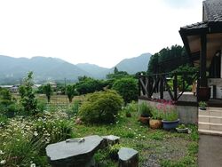 素敵なお店があ...