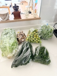 新鮮なお野菜が...