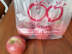 渡辺りんご園さ...