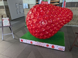 県庁舎へ遊びに...