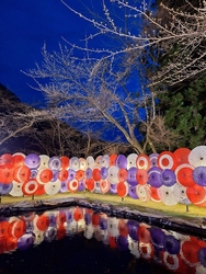 『夜桜ライトア...